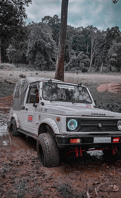 雪运动的热 雪运动的热