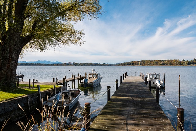 包括联赛水 包括联赛水