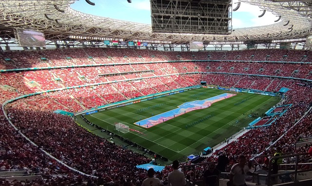 自己的竞争 自己的竞争