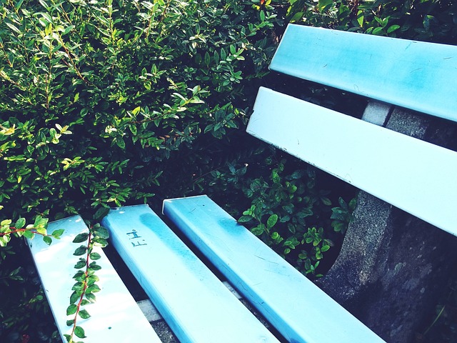 本场比赛充 本场比赛充