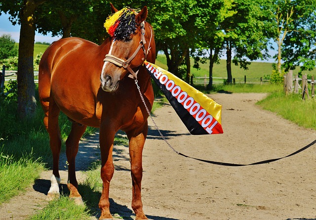 季走向的重 季走向的重